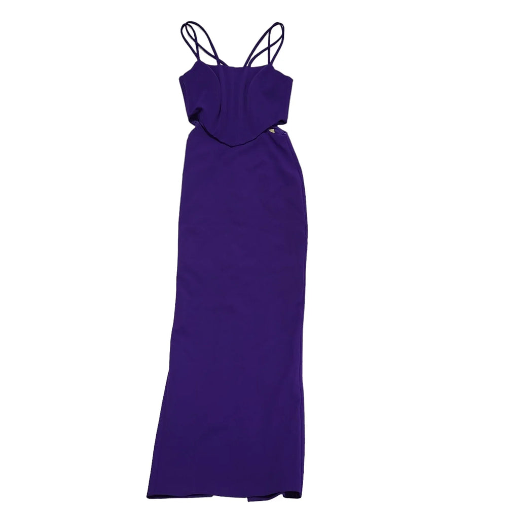 Coast Purple Paris Structured Maxi Dress Women's UK 10 Bnwt CC621