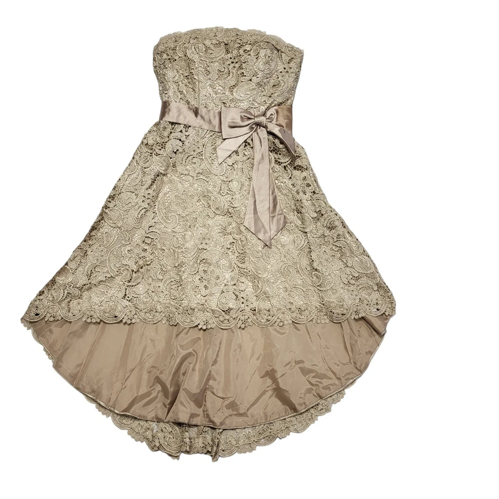 JuJu & Christine Rose Gold / Pink Lace Belted Dress Women's BNWT XS 6 K933