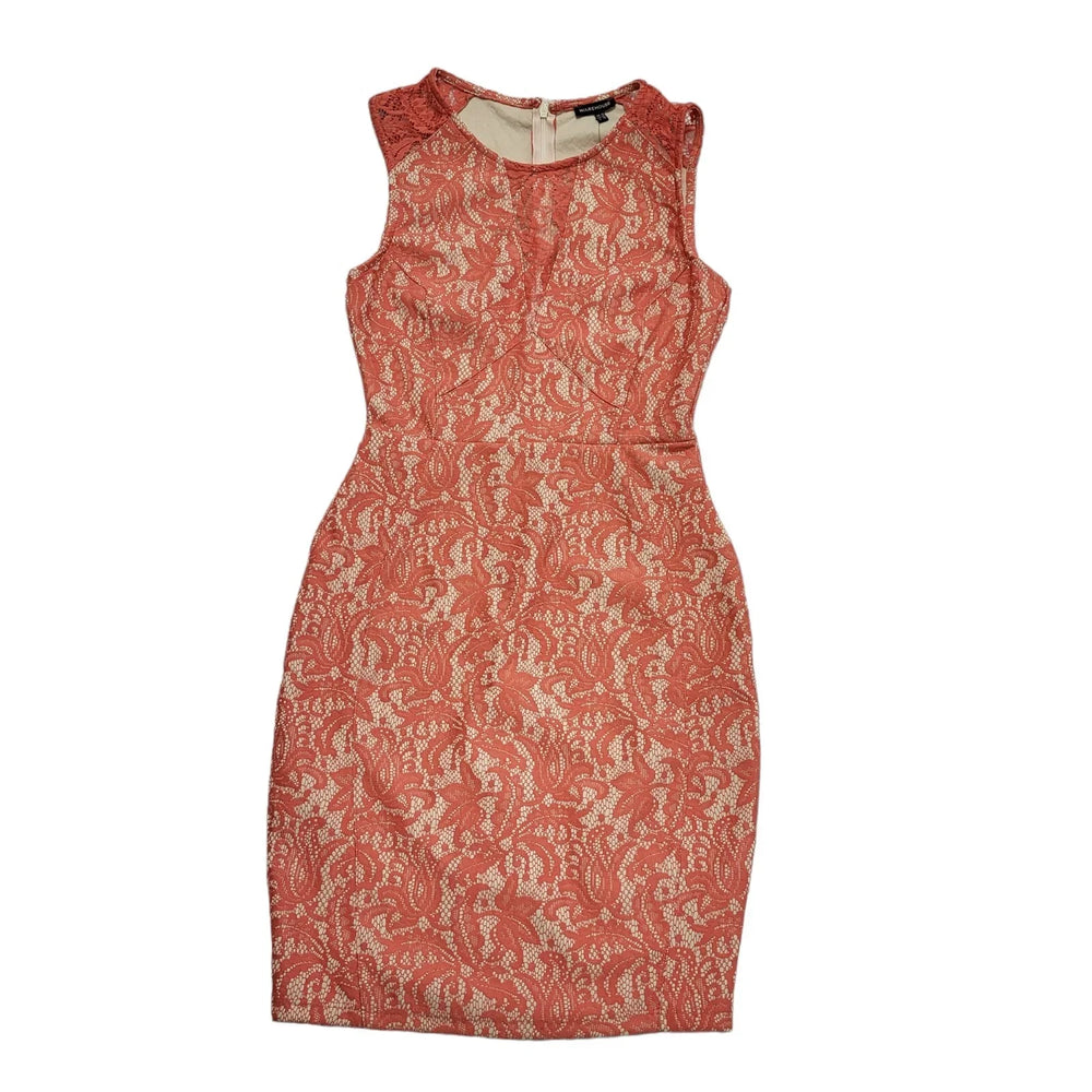 Warehouse Pink Sleeveless Bonded Lace Bodycon Dress UK Women's 10 Bnwt BB635