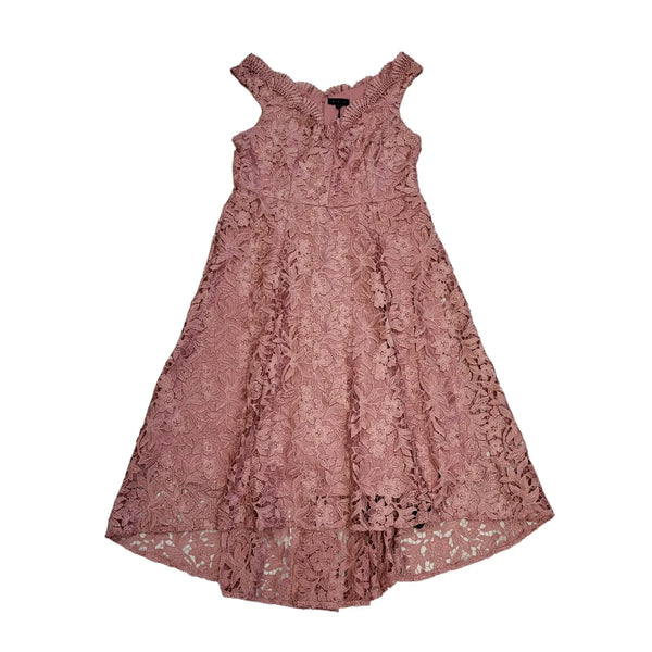 Debut Pink Lace Bardot Skater Dress Uk Women's Size 14 Bnwt DD542
